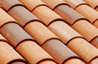 Lenten Pool clay roofing