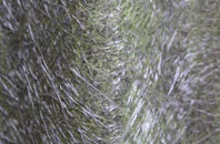 Lenten Pool fibreglass roof work